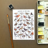 Alexia Claire | Waders of Britain | Postcard | Conscious Craft